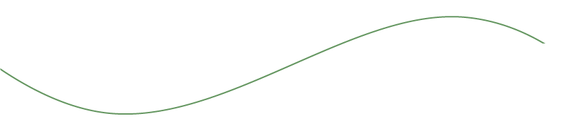 Schlichte, geschwungene Linie in Grün auf weißem Hintergrund.